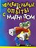 Увлекательные опыты с магнитом / (мягк) (Лавка чудес). Булгакова В. (АСТ) - 0