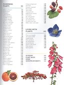 Trees, Leaves, Flowers & Seeds - 2