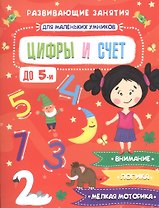 Цифры и счет. Развивающие занятия