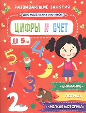 Цифры и счет. Развивающие занятия