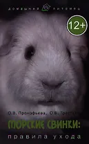 Морские свинки : правила ухода