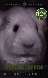 Морские свинки : правила ухода