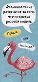 Удивительные животные. Книжка-веер для детей - 1