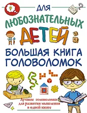 Большая книга головоломок
