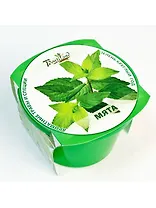 Набор для выращивания "Зелень круглый год" Мята (411951)