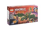 LEGO NINJAGO: Зелёный лесной дракон Ллойда, 128 деталей (71829)
