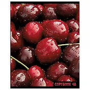 Тетрадь 48л кл. "Фрукты" сплошн.лак, ассорти, schoolФОРМАТ