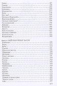 Сквозь лабиринт времён: 4. Охота на ведьм 5. Легенда о бабочке 6. Бой песочных часов - 2