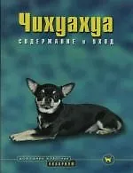 Чихуахуа: Содержание и уход