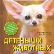 Детеныши животных