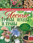 Лесные грибы, ягоды и травы - 0