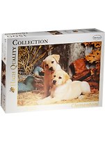 Пазл 1500К 31976 Clementoni Щенки лабрадора (84,3х59,2см) (High Quality Collection) (Animals) (коробка)