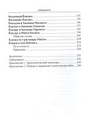 Сегуны Асикага. Закат династии - 2