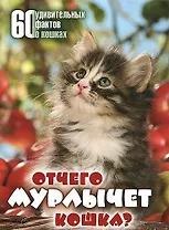 Отчего мурлычет кошка? 60 удивительных фактов о кошках