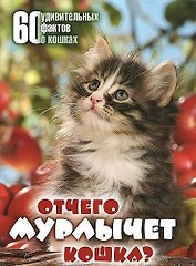 Отчего мурлычет кошка? 60 удивительных фактов о кошках