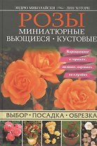 Розы. Миниатюрные. Вьющиеся. Кустовые