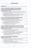 Экономическая безопасность организации: монография - 1