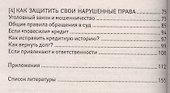 Мошенничество в сфере финансов - 2