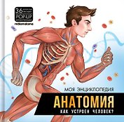 Моя энциклопедия. Анатомия. Как устроен человек?