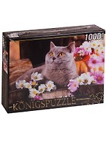 Пазл Königspuzzle 1000 эл.68,5*48,5см. Британский кот ГИК1000-6552