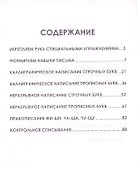 Русский язык. 1 класс. Комплексный тренажер - 1