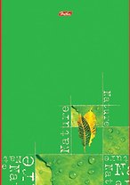 Блокнот А5 96л "Nature" цв.обл,офсет, Hatber