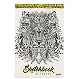 Альбом для рисования Hatber, Doodle-art, А4, 24 листа, на евроспирали, в ассортименте
