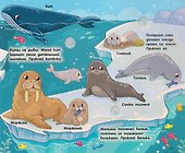 Мамы и малыши. Книга с липучками - 1
