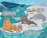 Мамы и малыши. Книга с липучками - 1