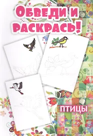 Обведи и раскрась! Птицы