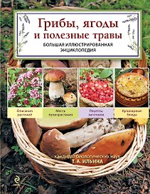 Грибы.Грибы,ягоды и полезные травы