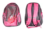 Рюкзак школьный "Lilly" 43*31*18, наружн.карманы, жесткое дно, Silwerhof