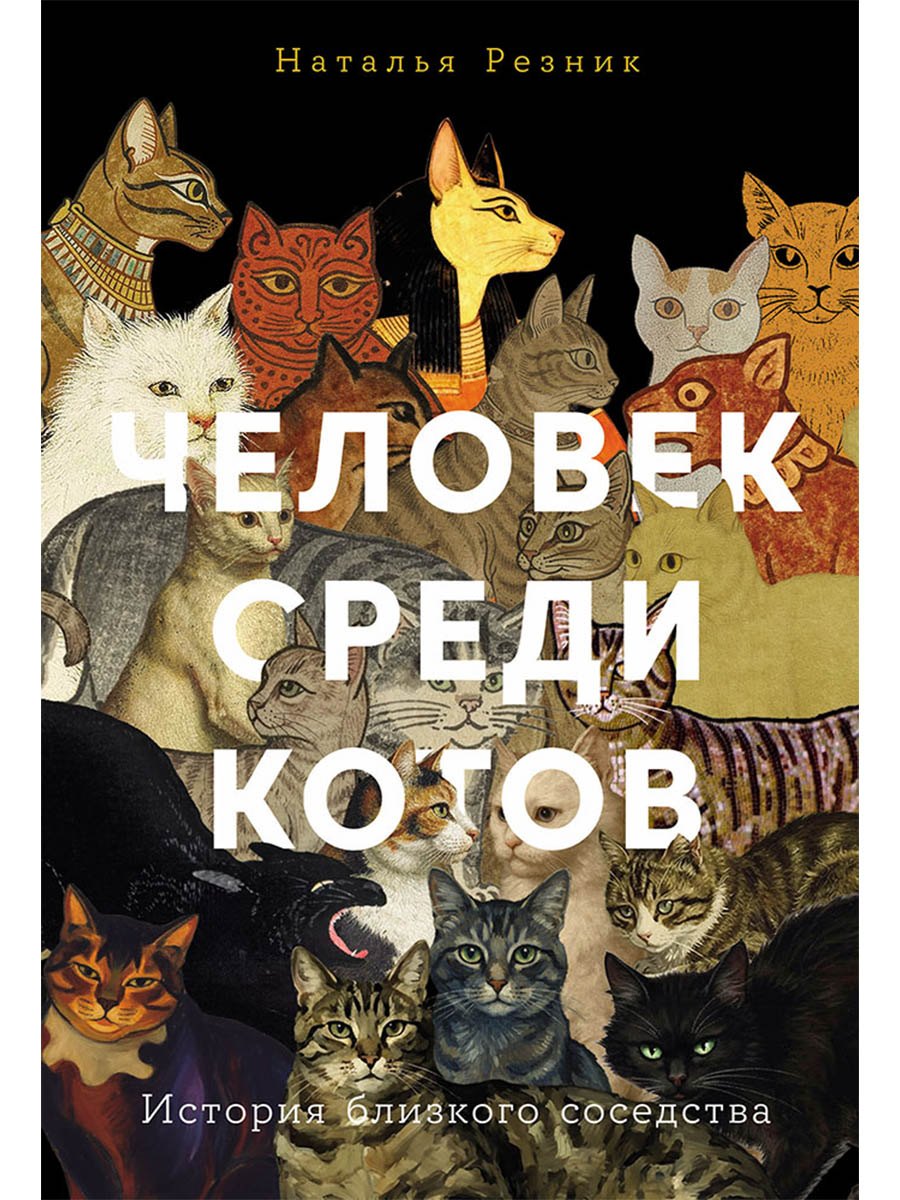 

Человек среди котов: История близкого соседства