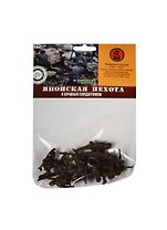 БИПЛАНТ Игровой набор Солдатики "Японская Пехота" 8шт в блистере 12018
