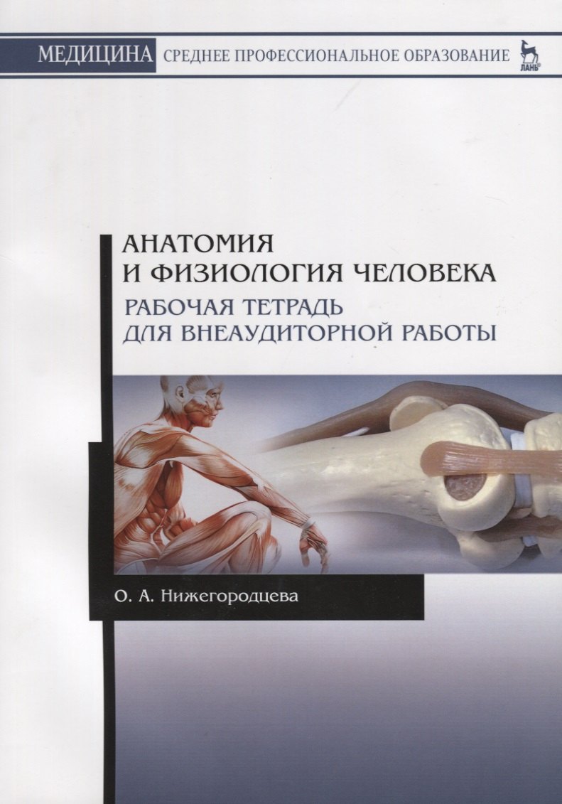 

Анатомия и физиология человека. Рабочая тетрадь для внеаудиторной работы. Учебное пособие