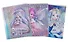 Обложки 03шт д/тетрадей гологр. "СКАЗОЧНЫЕ ПРИНЦЕССЫ" 346*215мм, ПВХ 70мкм, три наклейки для персонализации, подвес - 0