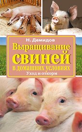 Выращивание свиней в домашних условиях. Уход и откорм
