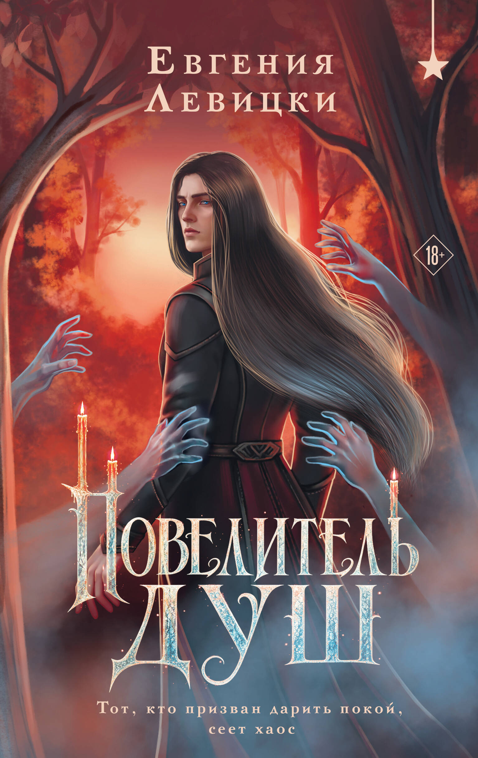 Обложка книги «Повелитель душ»
