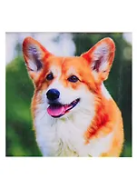 Алмазная мозаика ТМ Рыжий кот, Улыбающийся корги, квадратная 20x20 (класс.) с подр., полн. заполн. (24 цв) F2-004