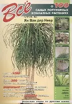 Все о 100 самых популярных комнатных растениях