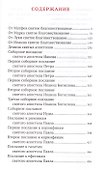 Новый Завет. С зачалами - 1