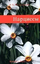 Нарциссы