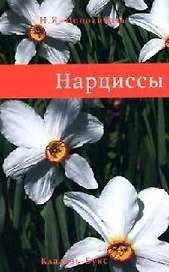 Нарциссы