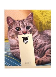 Тетрадь общая «Кошачьи забавы», 48 листов в клетку, А5, в ассортименте - Unnika