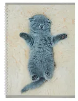 Тетрадь в линейку Listoff, "Котенок", А4, 60 листов