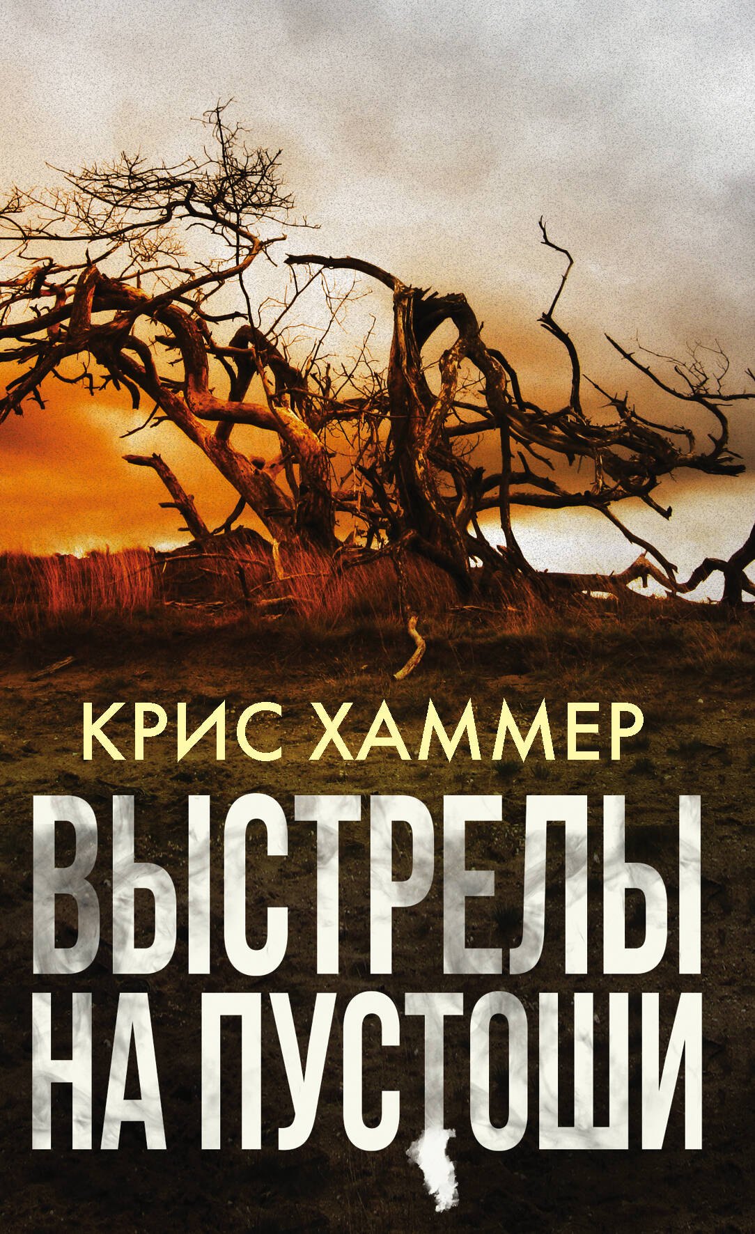 

Выстрелы на пустоши