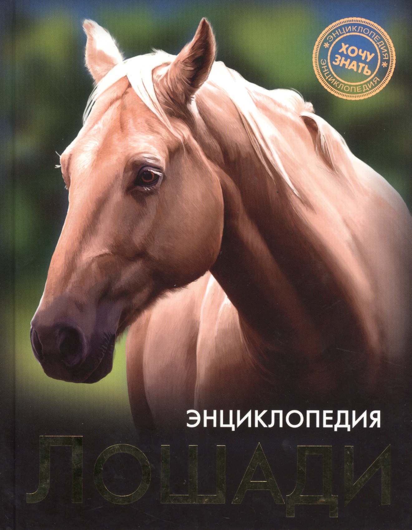 

Лошади