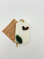 Ароматическое саше Еловые шишки и хвоя (30г) (САШЕ-ЕШХ)