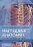 Наглядная анатомия.  3-е издание, переработанное и дополненное - 0
