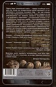 Всеобщая история игр. От фараона до смартфона - 1